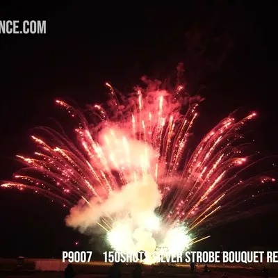 150Shots Silver Strobe Bouquet Red Glittery Comet
