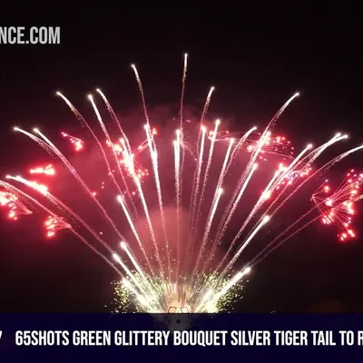 65Shots Green glittery silver tiger tail to red and blue stars