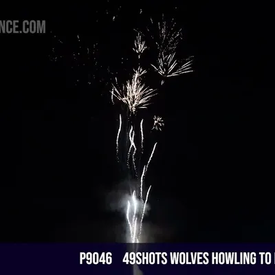 49shots wolves howling to brocade crown