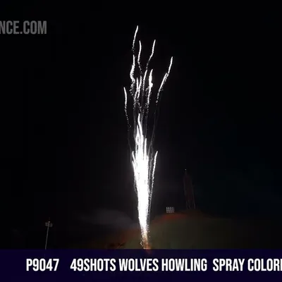 49shots wolves howling  spray colorful Dahlia chry