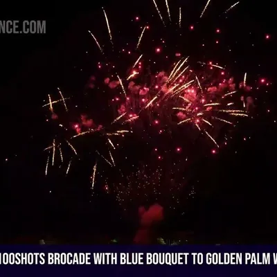 100Shots Brocade with blue bouquet to golden palm with red strobe