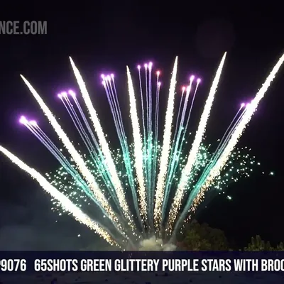 65Shots Green glittery purple stars with brocade crown tail