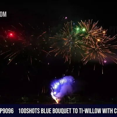 100Shots Blue bouquet to Ti-willow with color stars