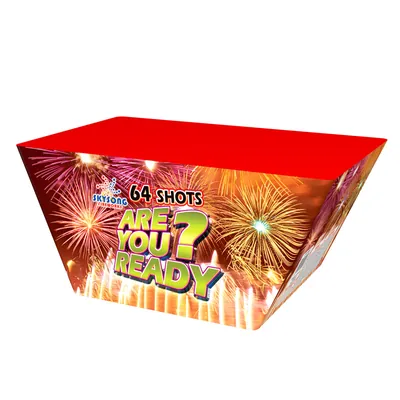 Are You Ready 64Shots Fan Cake