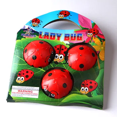Lady Bug