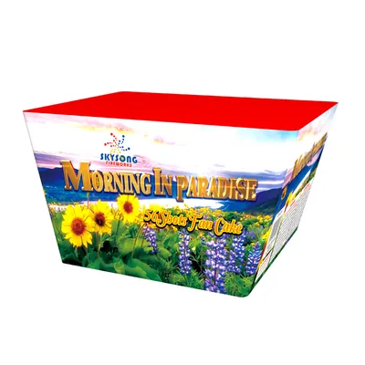 Morning in Paradise 56Shots Fan Cake
