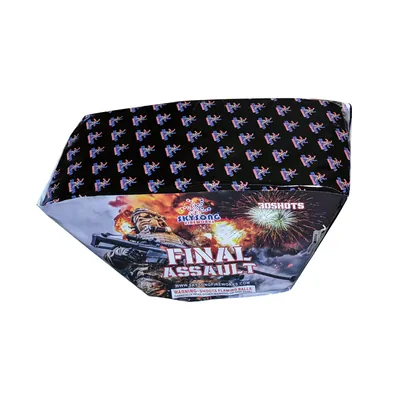 Final Assault 30Shots