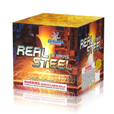 Real Steel 25Shots